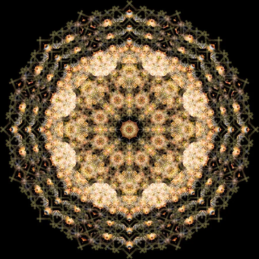 Mandalas: Graphic design