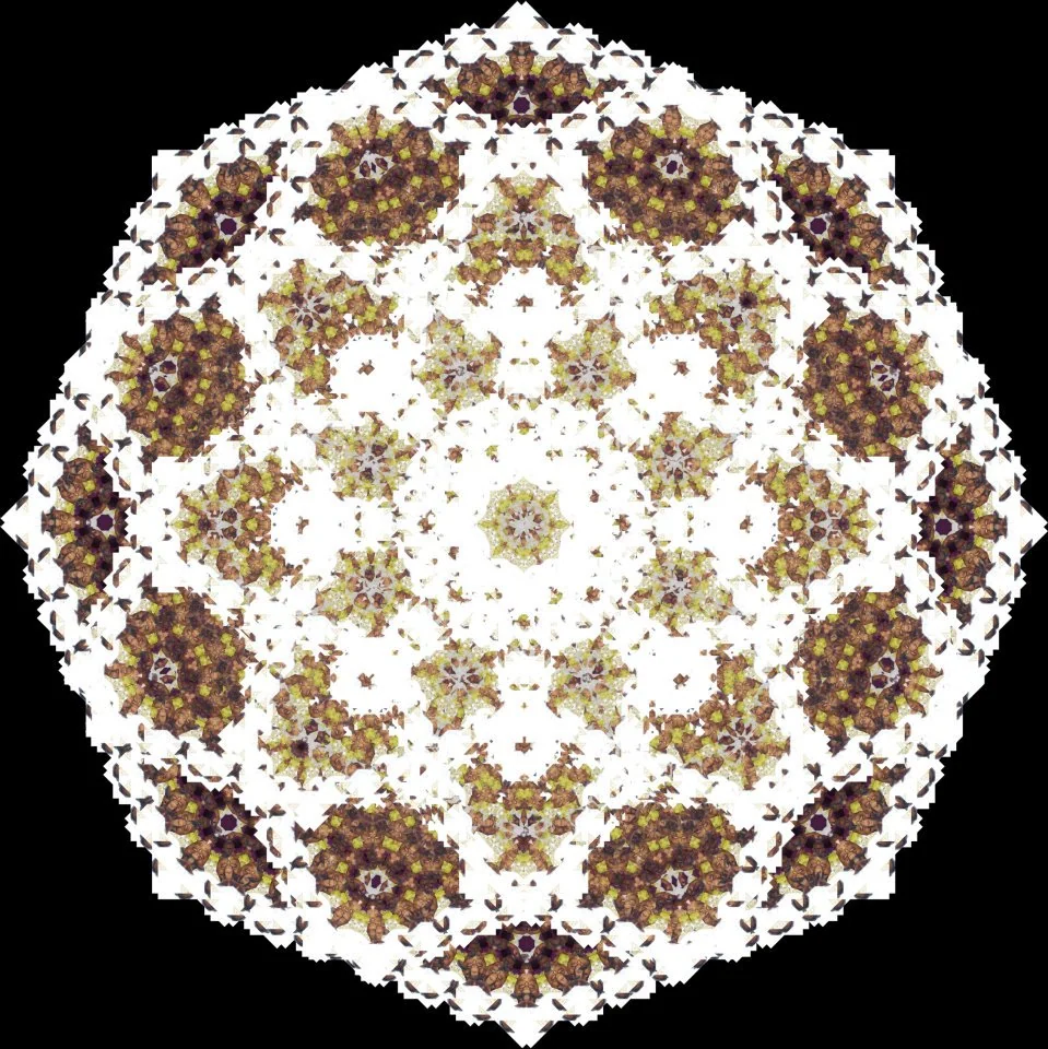 Mandalas: graphic design, view 19