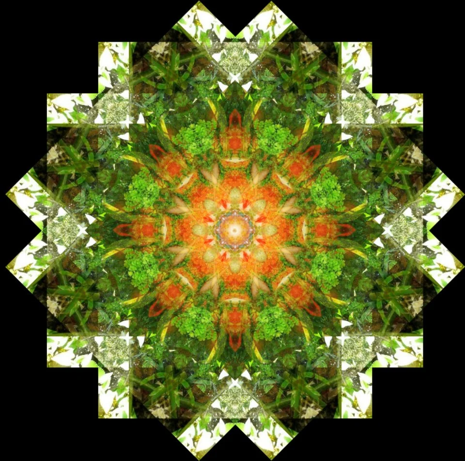 Mandalas: graphic design, view 17