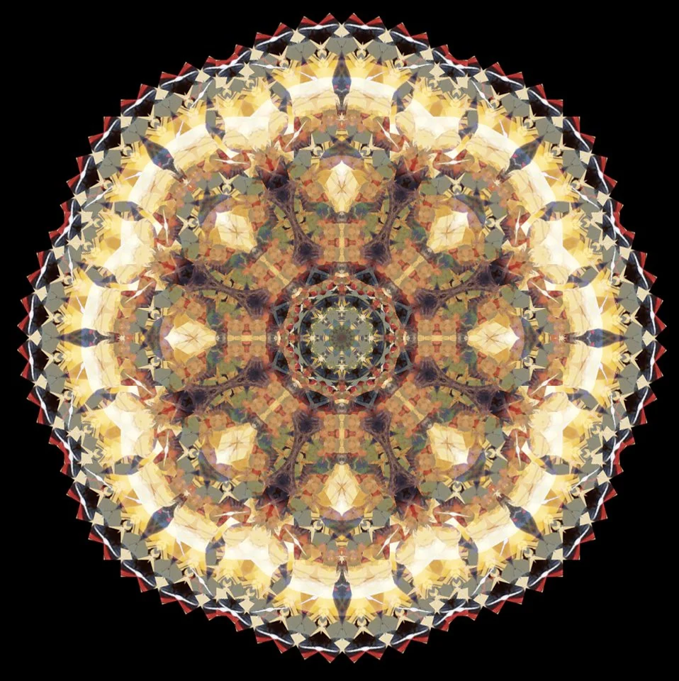Mandalas: graphic design, view 14