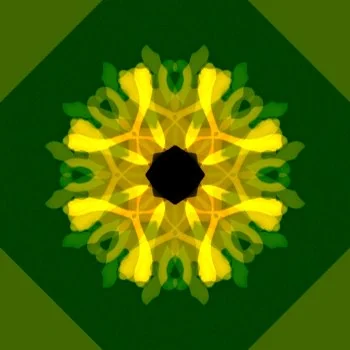 Mandalas: graphic design, view 13